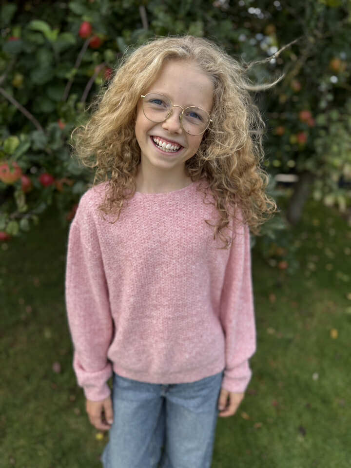 VMWENDY Pullover - Rose Elegance